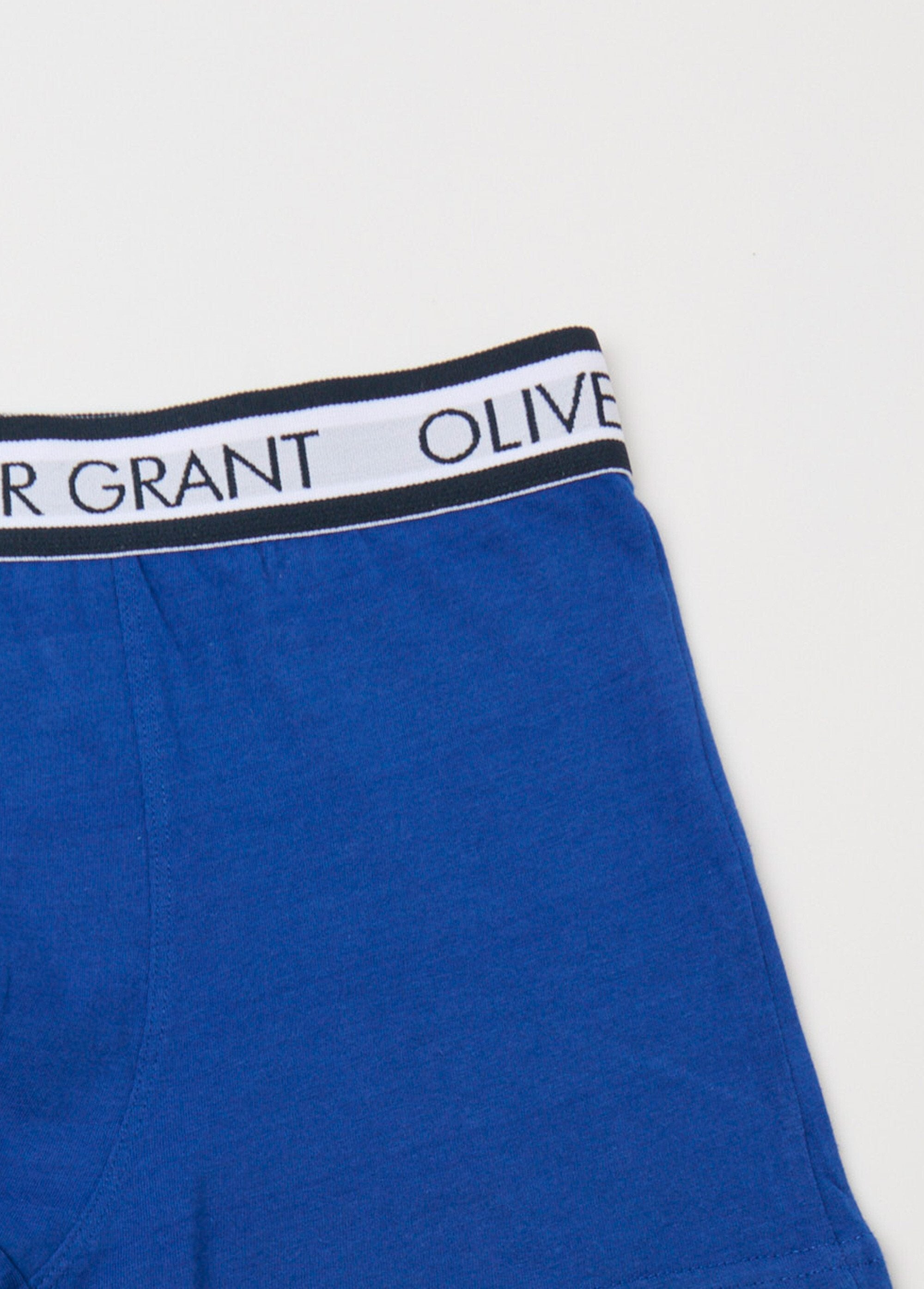 Plain_boxer_shorts_with_logo_waistband_Blue_DE1_slim