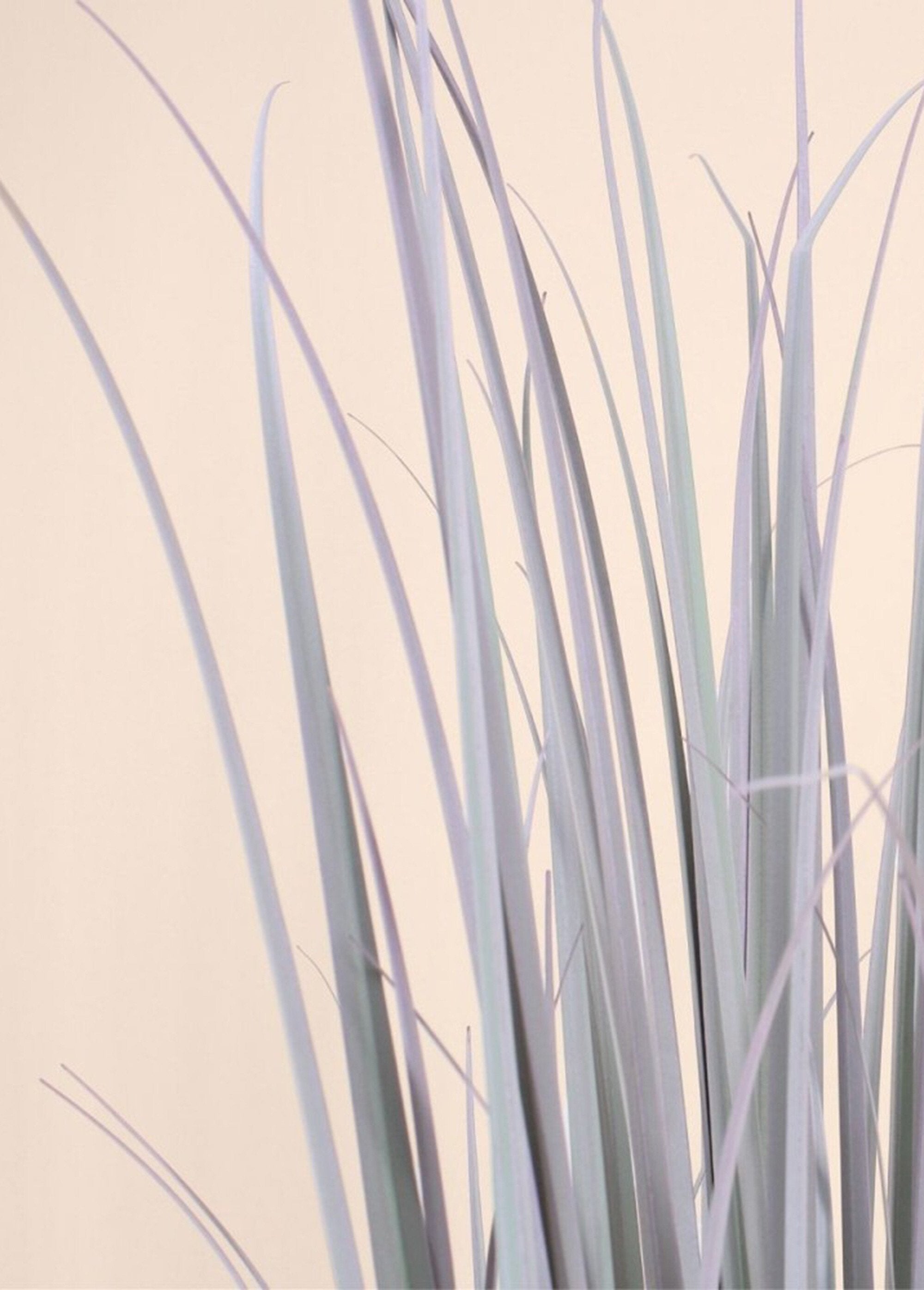 Phormium_artificial_plant_in_the_shape_of_a_bundle_Green_DE2_slim