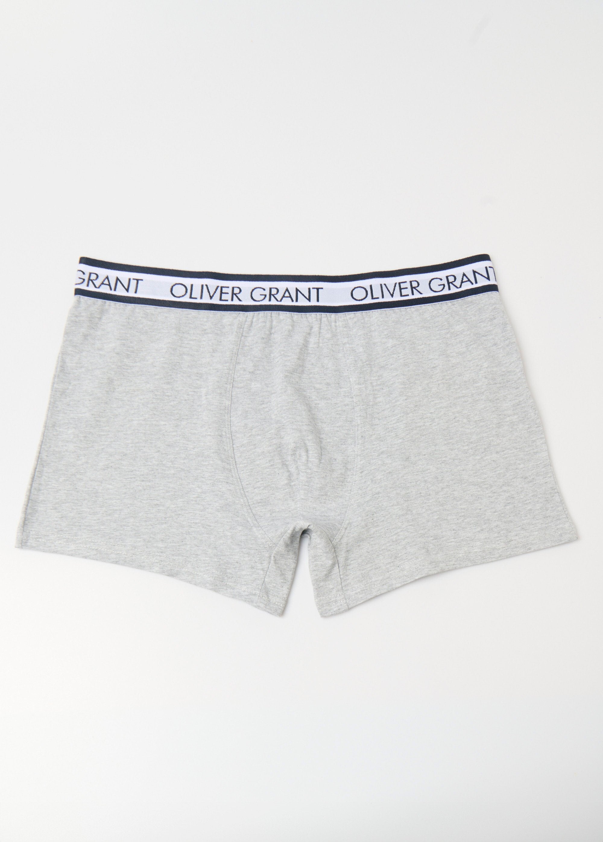 Plain_boxer_shorts_with_logo_waistband_Gray_FA1_slim