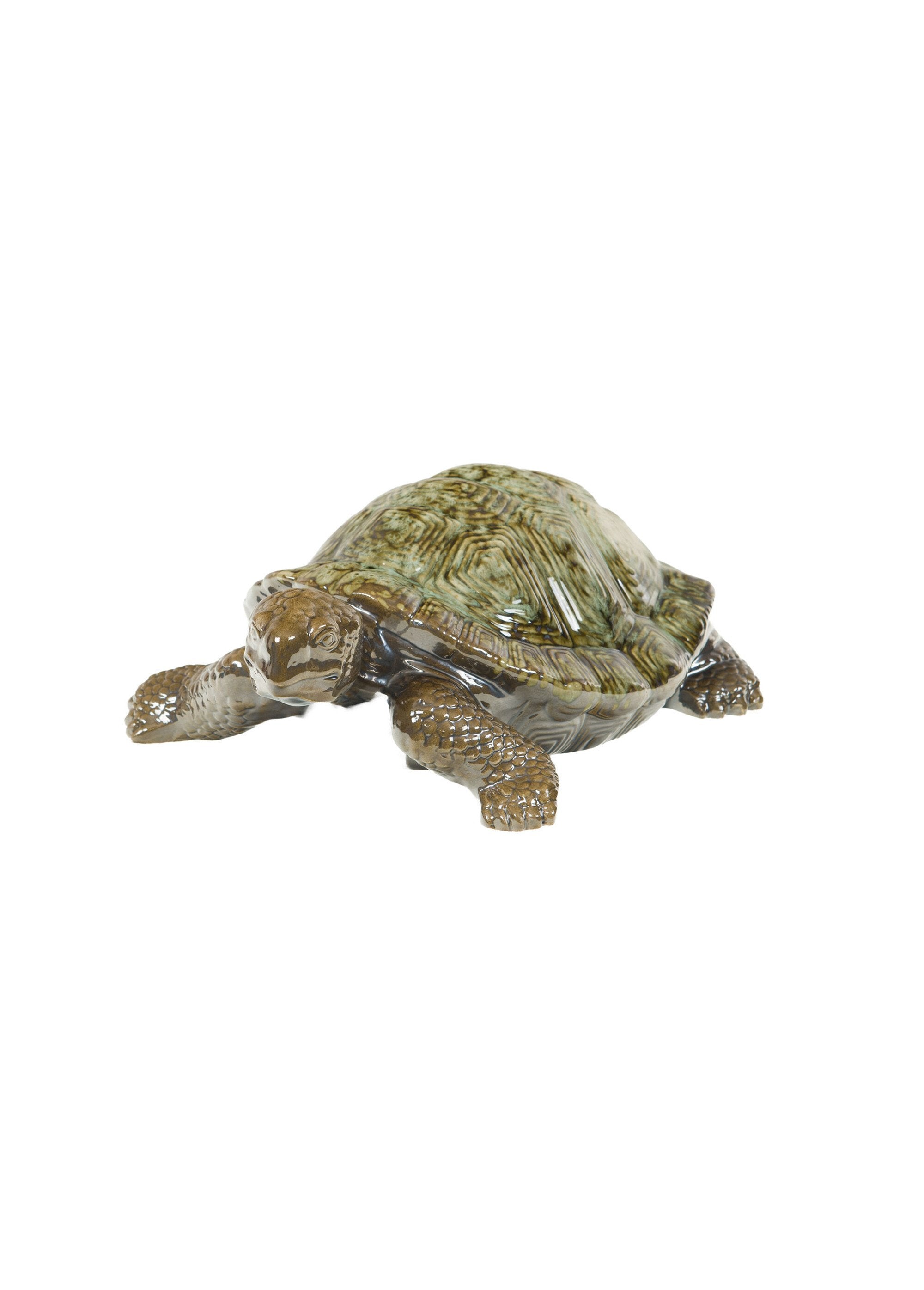 Decorative_subject_turtle_in_glazed_ceramic_Green_FA1_slim