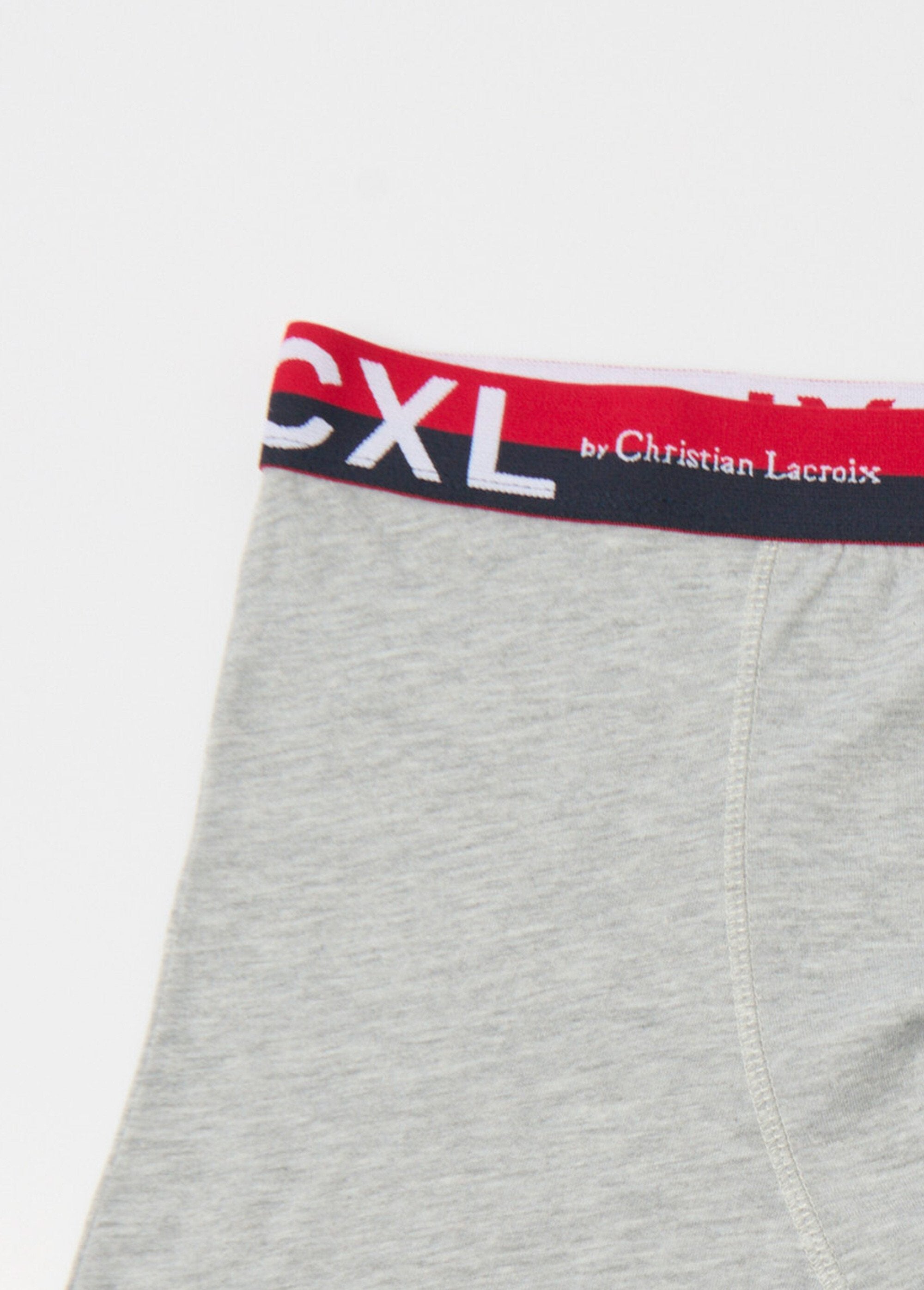 Pack_of_4_plain_boxers_with_logo_waistband_Light_gray_DE1_slim