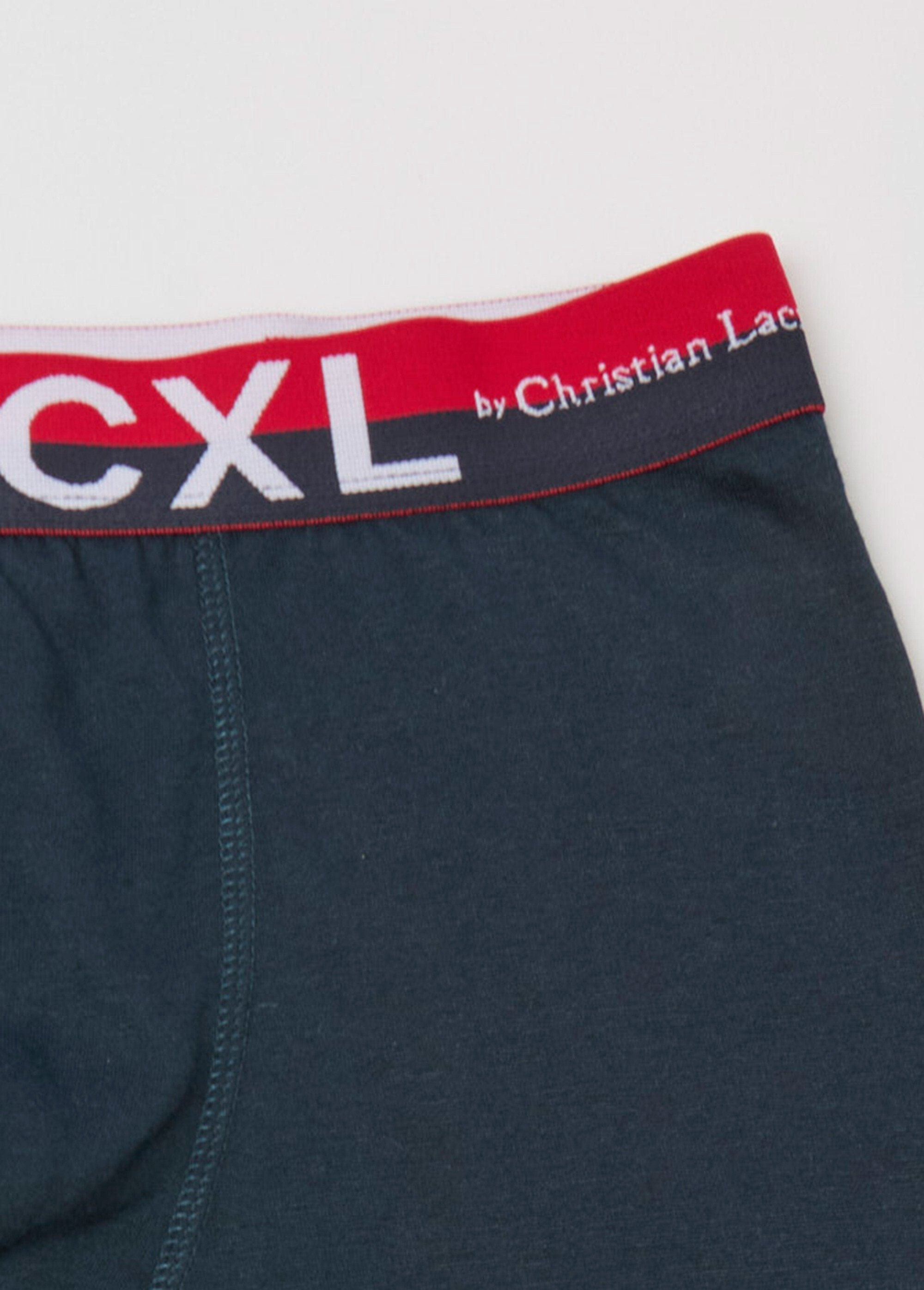 Pack_of_4_plain_boxers_with_logo_waistband_Blue_DE1_slim