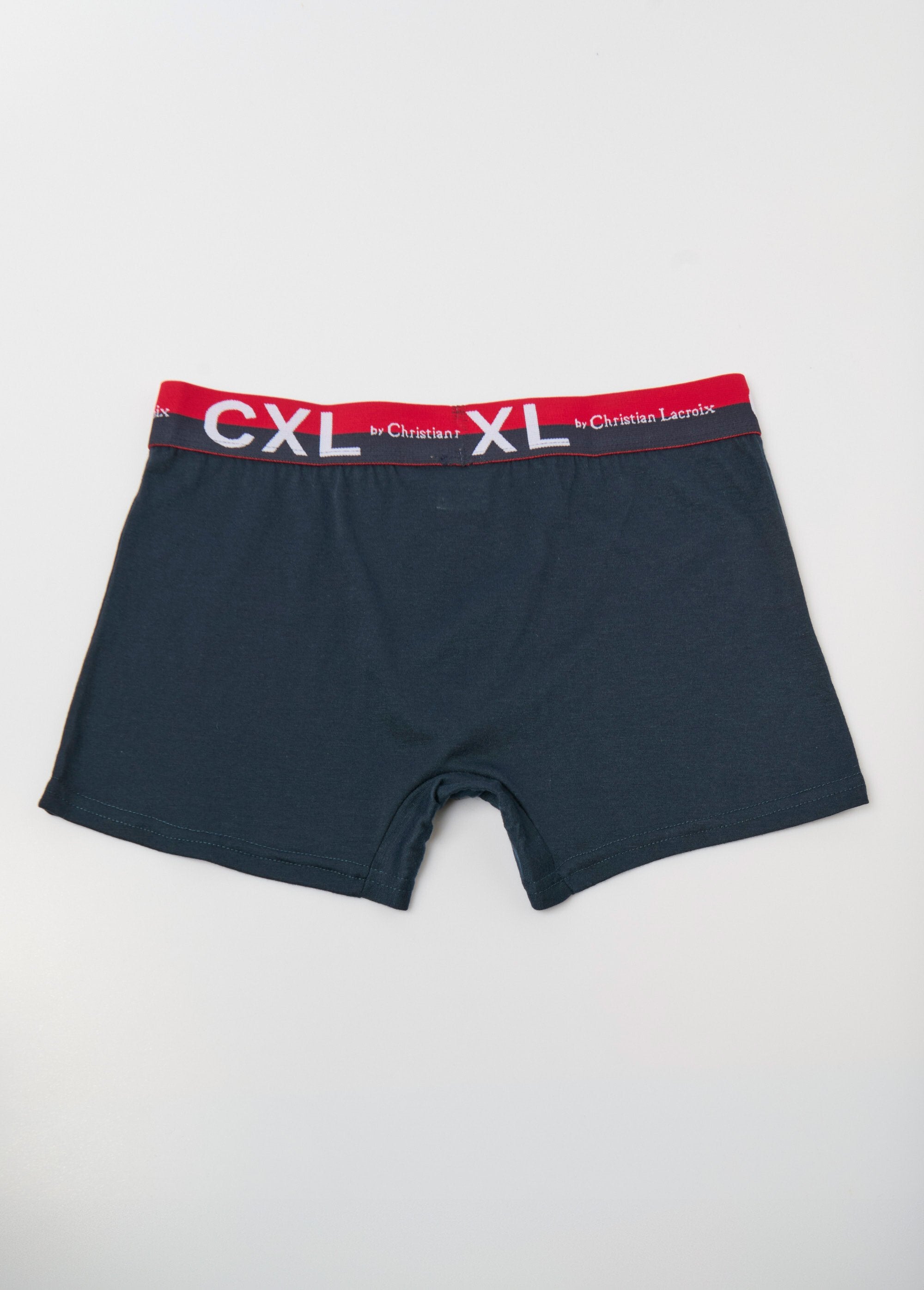 Pack_of_4_plain_boxers_with_logo_waistband_Blue_DO1_slim
